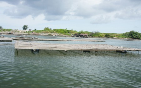 台江內海