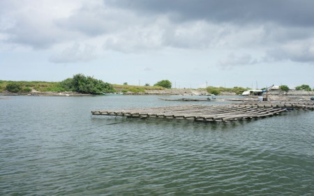 台江內海