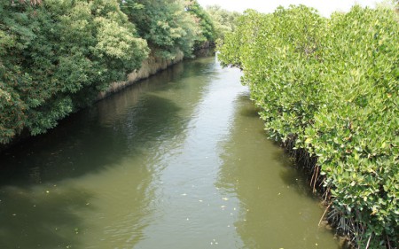 綠色隧道