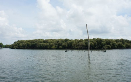 台江內海