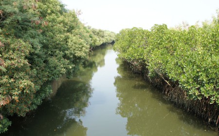 綠色隧道